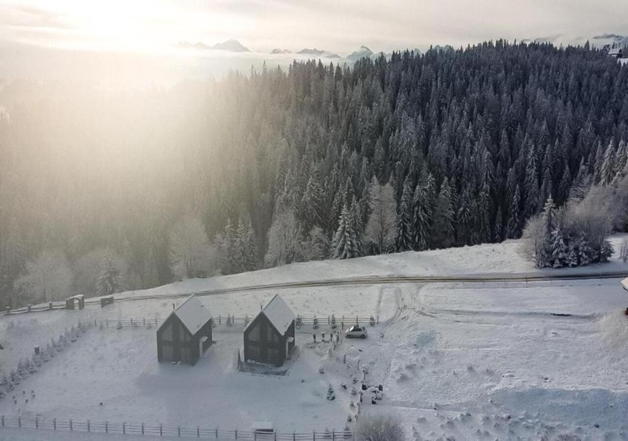 Вілла Owczarnia Tatry Буковина Татранська Екстер'єр фото