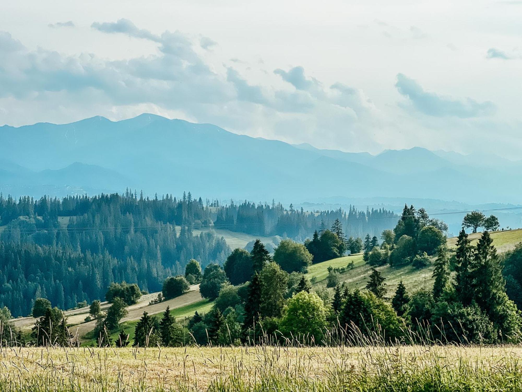 Вілла Owczarnia Tatry Буковина Татранська Екстер'єр фото